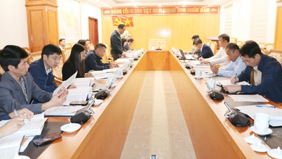 Vergadering van de Raad voor beoordeling van het rapport over de milieueffectbeoordeling van het 220 kV-transmissielijnproject Phong Tho - Than Uyen.