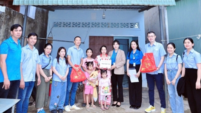 Zorgen voor sociale zekerheid voor werknemers