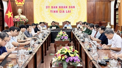 סגן ראש הממשלה טראן הונג הא ניהל ישיבה של ועדת ההיגוי הלאומית להגנה אזרחית בתגובה לסופה מספר 13.