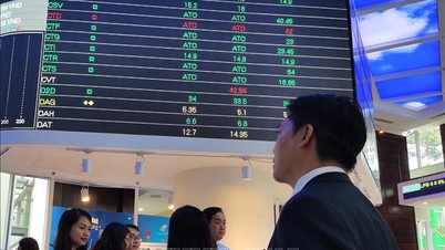 तेल, गैस और खुदरा समूह लहर का नेतृत्व करते हैं, वीएन-इंडेक्स हरे रंग को बनाए रखता है