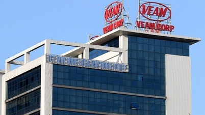 VEAM (VEA) sắp trả cổ tức 2024 tỉ lệ hơn 46,58%