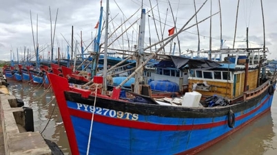 ດັກ​ລັກ​ອອກ​ຄຳ​ສັ່ງ​ຫ້າມ​ເດີນ​ທະ​ເລ​ແຕ່​ເວລາ 6 ​ໂມງ​ເຊົ້າ​ວັນ​ທີ 5 ພະຈິກ​ນີ້