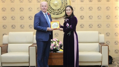 Da Nang dezvoltă relații de prietenie și cooperare cu localitățile și partenerii canadieni