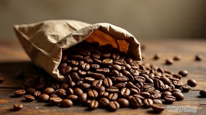 Kaffepris idag 5 november 2025: Liten minskning