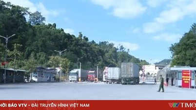 Durian exports are back on track