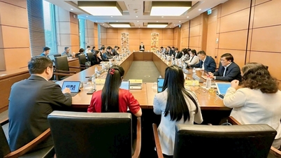 ធ្វើ​ឱ្យ​ល្អឥតខ្ចោះ​នូវ​ច្បាប់​ស្តី​ពី​ការ​វាយតម្លៃ​របស់​តុលាការ​និង​ការ​ប្រឆាំង​អំពើ​ពុករលួយ​ដើម្បី​បំពេញ​តាម​លក្ខខណ្ឌ​ជាក់ស្តែង