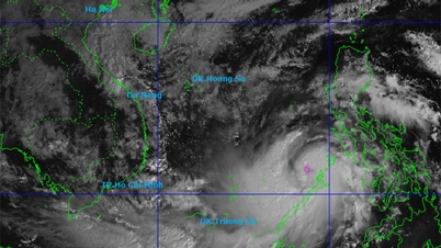 Pourquoi la tempête n° 13 Kalmaegi s'est-elle intensifiée après son entrée en mer de l'Est ?