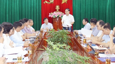 Державний керівний комітет з ключових енергетичних проектів працює в Донгнаї