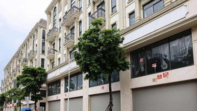 Le marché immobilier est « étrange », que recommandent les experts ?