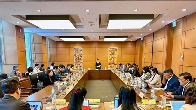 Egyértelmű szabályozások a polgári végrehajtás következetességének és megvalósíthatóságának biztosítása érdekében