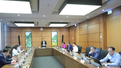 Jasné odpovědnosti a pravomoci při forenzním oceňování v jednotlivých případech