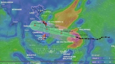 Dak Lak utfärdar sjöförbud som svar på storm nr 13