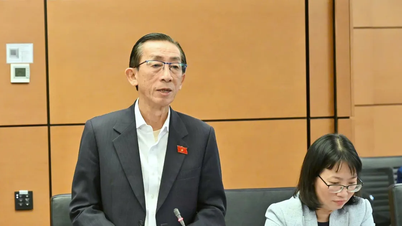 Schutz des geistigen Eigentums im Zusammenhang mit KI