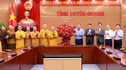 도 인민위원회 위원장 판 후이 응옥(Phan Huy Ngoc)이 뚜옌꽝(Tuyen Quang)성 불교 승가 상임위원회를 접견했습니다.