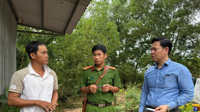 Phu Quoc, orman arazisi ihlallerine ilişkin 41 davayı ele alıyor