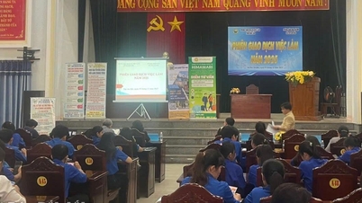 Tổ chức 11 phiên giao dịch việc làm