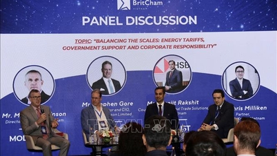 Vietnamese-Britse bedrijven activeren nieuwe samenwerkingscyclus