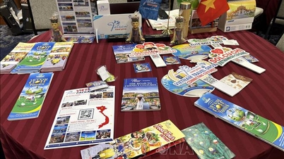 Vietnam främjar turismen i USA, utökar samarbetet och sammankopplar företag