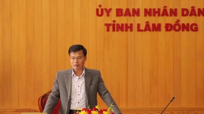 Chuẩn bị cho Festival Hoa Đà Lạt - Lâm Đồng lần thứ nhất năm 2026