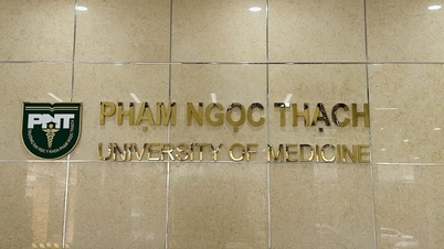 Το Ιατρικό Πανεπιστήμιο Pham Ngoc Thach ενημερώνει για την Ομάδα Εργασίας Επιστημονικής Ακεραιότητας