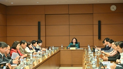 Regular rigorosamente as responsabilidades na execução das sentenças.