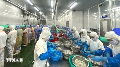 Vývoz zemědělských, lesnických a rybářských produktů se v říjnu zvýšil o téměř 13 %