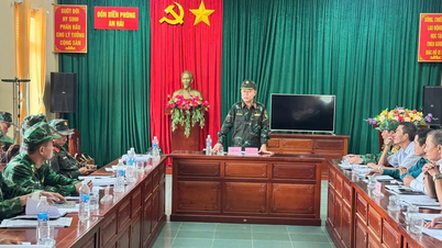 Militärregion 5 upprättade en främre kommandopost för att hantera storm nr 13 i Dak Lak.