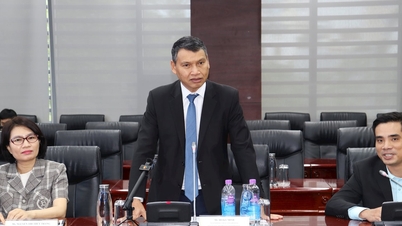 Da Nang menjemput perniagaan Switzerland untuk meneroka peluang pelaburan