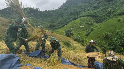 Tentera Stesen Pengawal Sempadan La Êê membantu orang ramai menuai sawah untuk melarikan diri dari ribut No. 13