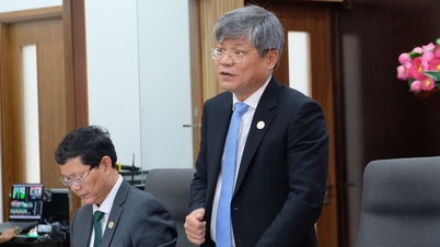 Vinsterna ökar, Vietnam Rubber Industry Group betalar 1 600 miljarder VND i utdelning till aktieägarna