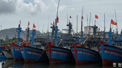 Gia Lai upprättade en kommandocentral för att hantera storm nr 13.