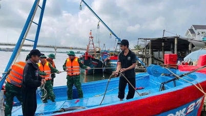 Quang Ngai: Forțele de grăniceri sprijină pescarii în prevenirea furtunii nr. 13