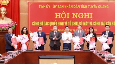 Hội nghị công bố các quyết định về tổ chức bộ máy và công tác cán bộ