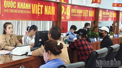 Operationele efficiëntie van de tweelaagse overheid in Dong Nai