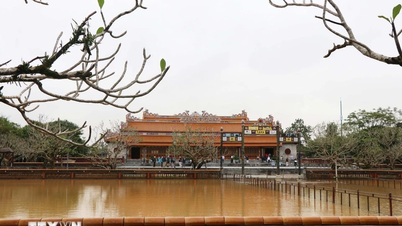 Kementerian Kebudayaan, Sukan dan Pelancongan meminta pemulihan bencana segera di peninggalan dan muzium di Hue.