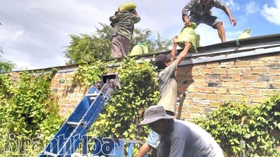 Obec Hoa Tri proaktivně reaguje na bouři č. 13