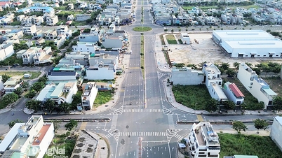 Provinční lidový výbor Dong Nai je agenturou provádějící úpravy projektu rekultivace, kompenzace, podpory a přesídlení pro letiště Long Thanh.