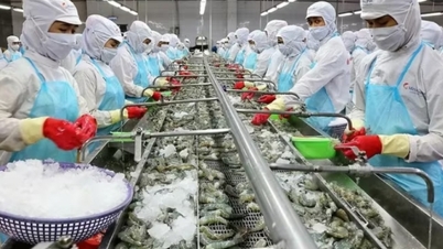 Industry and Trade News November 5: Agricultural, forestry and fishery exports grow rapidly