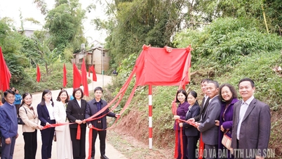 Ky Lua Ward zahájil projekt opravy a modernizace silnice Na Pinh.