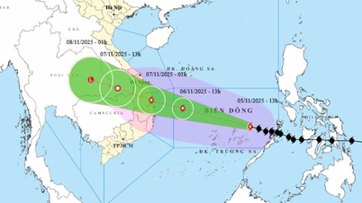 Telegram របស់រដ្ឋមន្ត្រីក្រសួងវប្បធម៌ កីឡា និងទេសចរណ៍ ស្តីពីការឆ្លើយតបយ៉ាងសកម្មចំពោះព្យុះ KALMAEGI