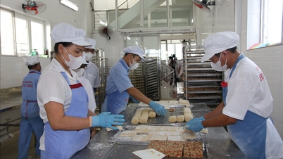 Perusahaan yang baru didirikan di Hai Phong meningkat jumlah dan modal investasinya