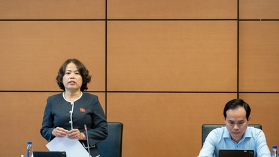 Ny beskattningsbar inkomst beslutad av nationalförsamlingens ständiga kommitté