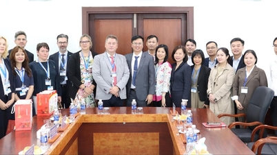 دا نانگ اور تھرنگیا ریاست (جرمنی) انسانی وسائل کی ترقی میں تعاون کو فروغ دیتے ہیں۔