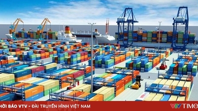 वियतनाम-यूएई ने कनेक्टिविटी को मजबूत किया, व्यापक सहयोग को बढ़ावा दिया