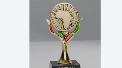 Premios de Medios Africanos: Celebrando las voces e identidades africanas