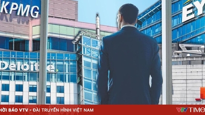 Auditorský průmysl otřesen umělou inteligencí