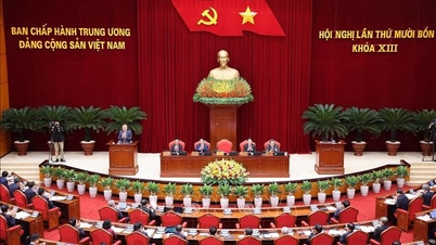 Прес-реліз у перший робочий день 14-ї Центральної конференції, 13-й термін скликання