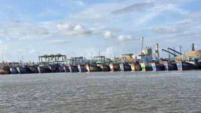 Reactie op storm nr. 13: Gia Lai is van plan meer dan 350.000 mensen te evacueren