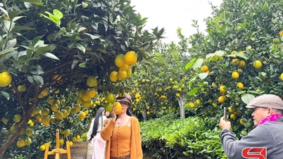 Developing green tourism associated with circular agriculture