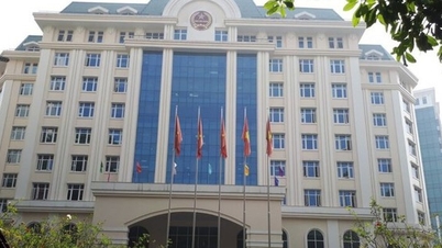 Daňový sektor naléhavě provádí průzkum a dokončuje databázi firemních domácností